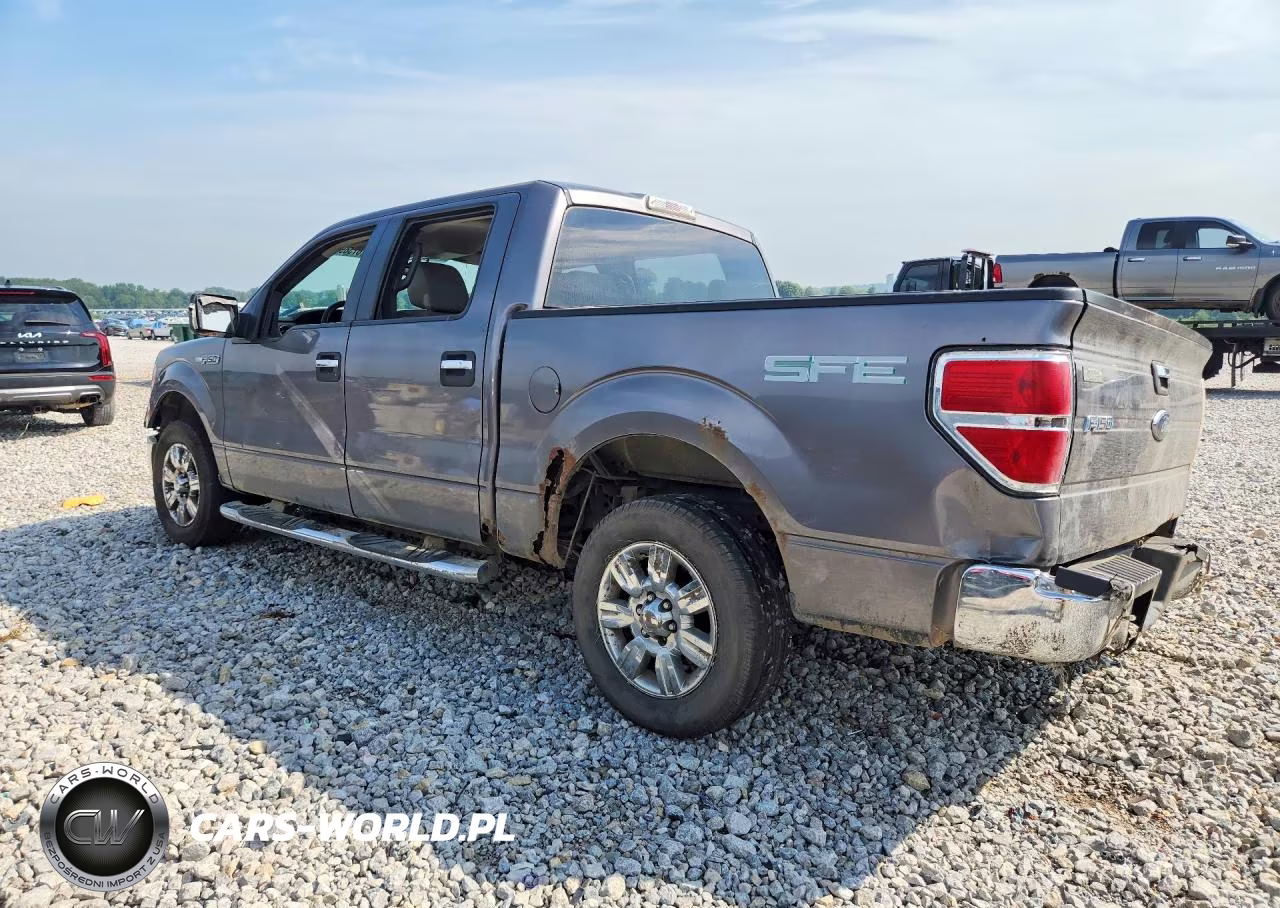 2009 Ford F150 Supercrew VIN:1FTRW12819FB10533 - 2
