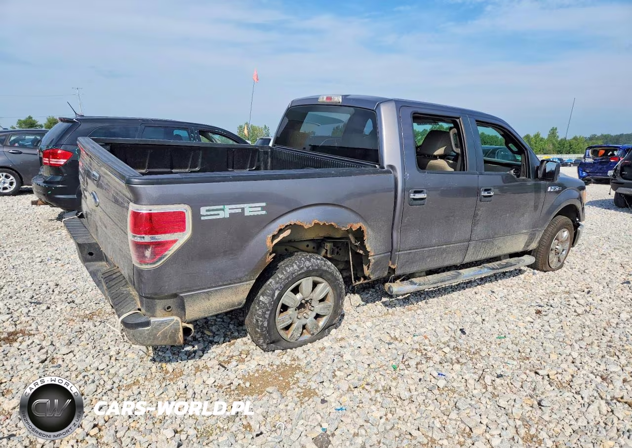 2009 Ford F150 Supercrew VIN:1FTRW12819FB10533 - 3
