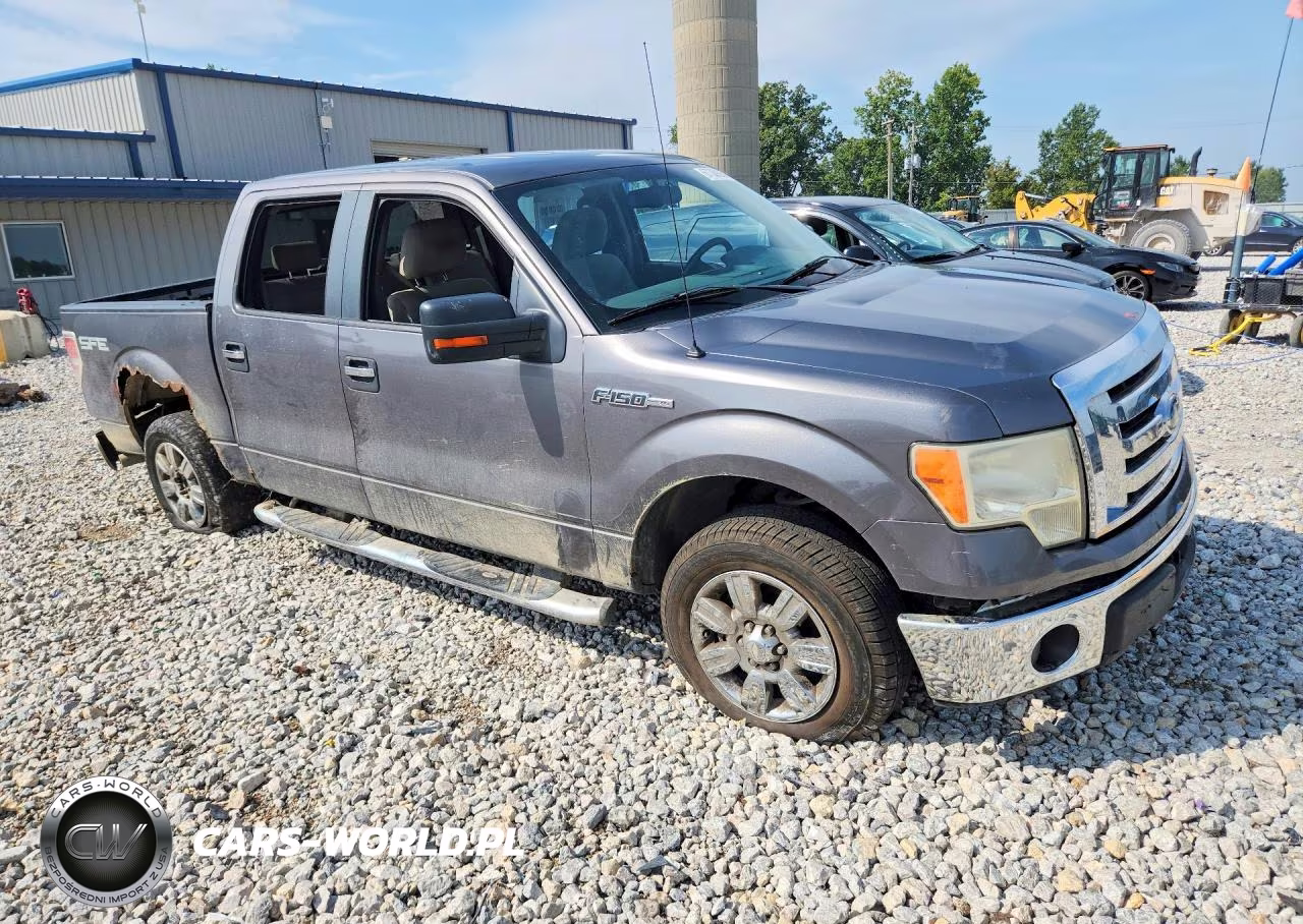 2009 Ford F150 Supercrew VIN:1FTRW12819FB10533 - 4