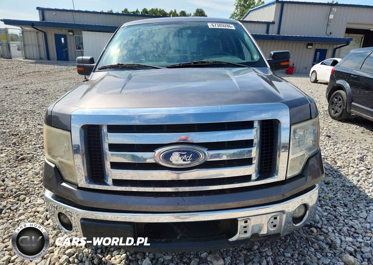 2009 Ford F150 Supercrew VIN:1FTRW12819FB10533 - 5