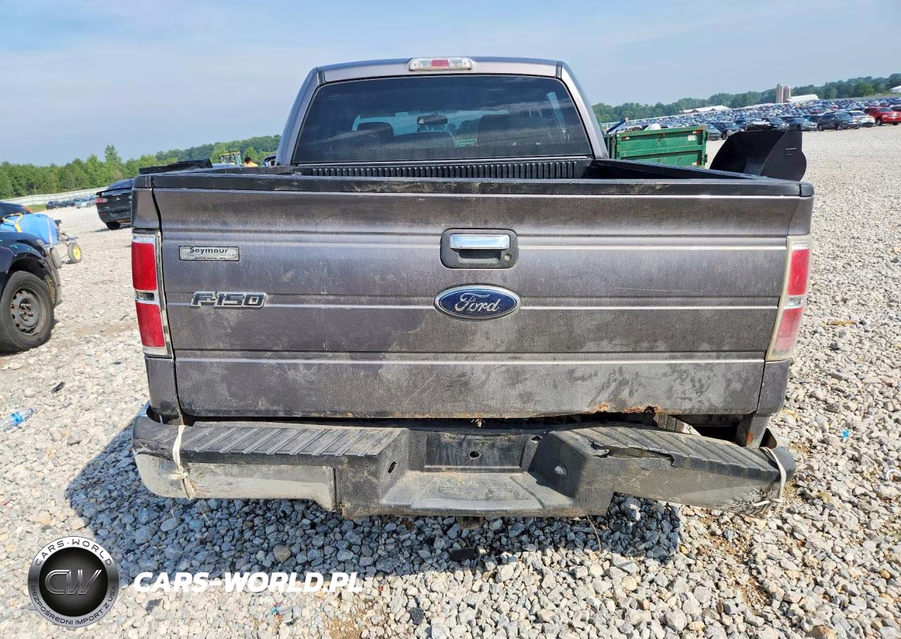2009 Ford F150 Supercrew VIN:1FTRW12819FB10533 - 6