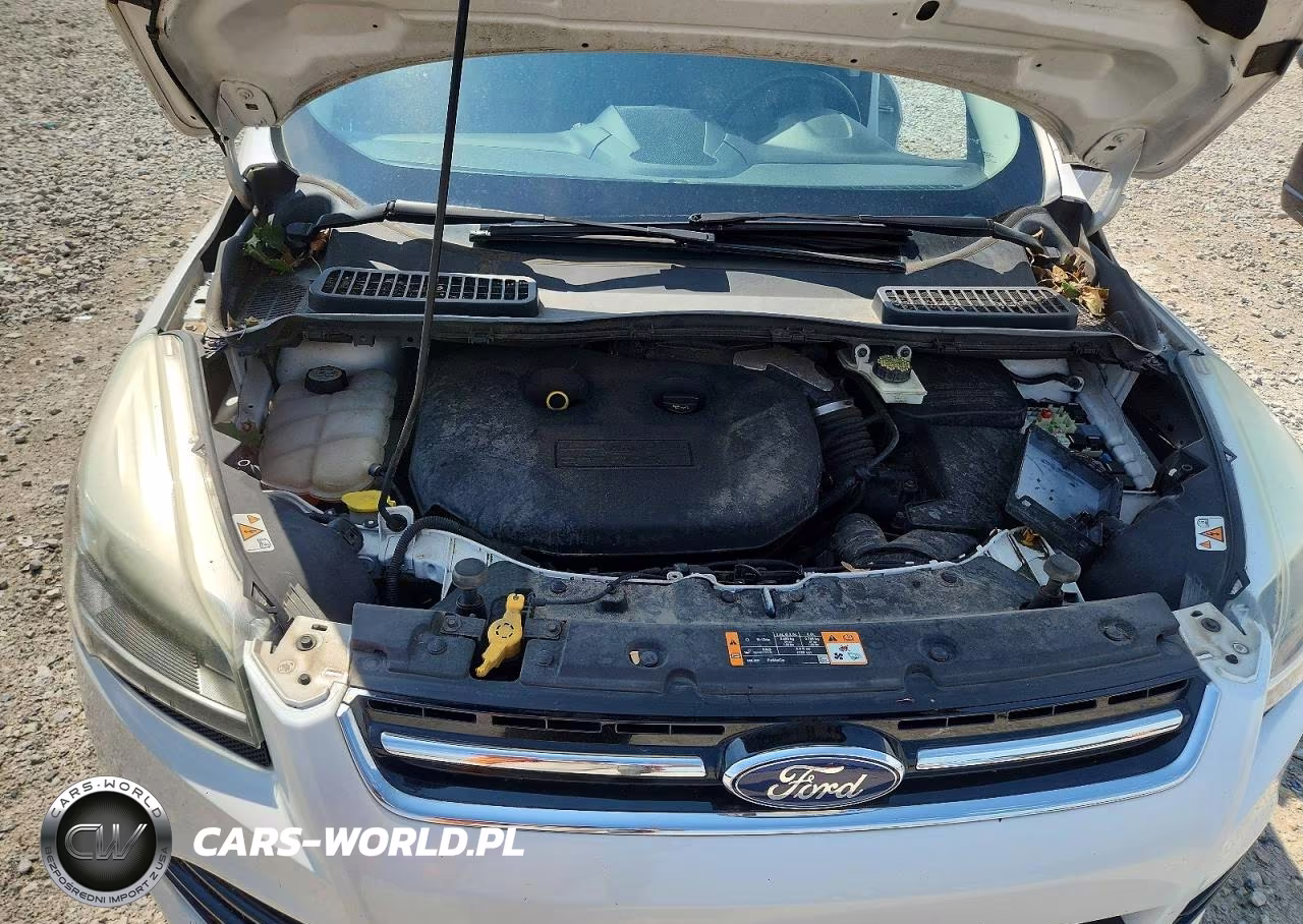 2013 Ford Escape Titanium VIN:1FMCU9J93DUA76051 - 12