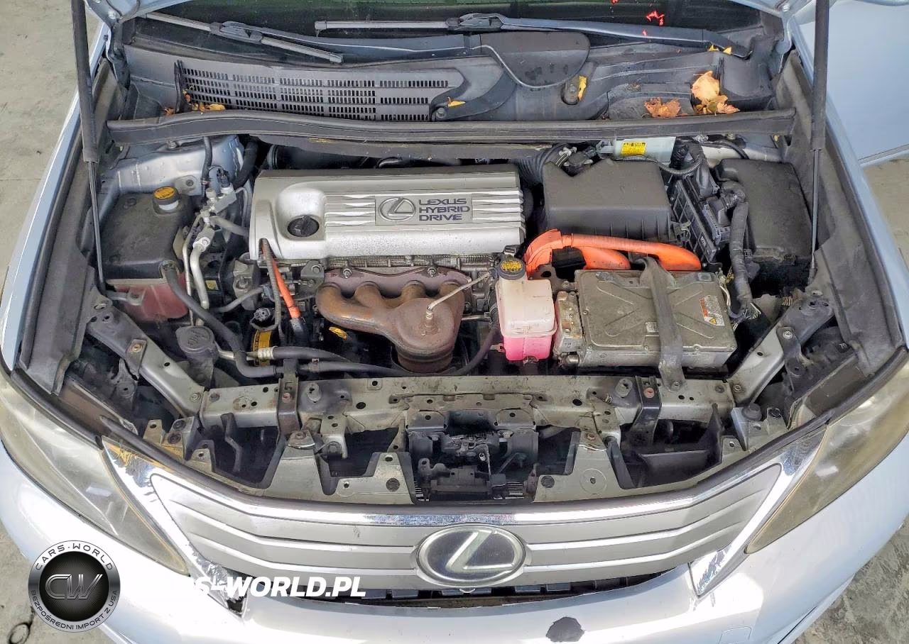 2010 Lexus Hs 250H VIN:JTHBB1BA4A2009819 - 11