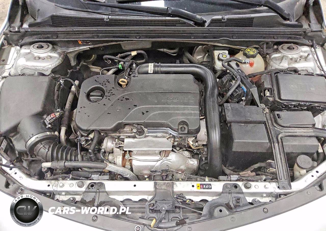 2021 Chevrolet Malibu Lt VIN:1G1ZD5ST8MF015325 - 11