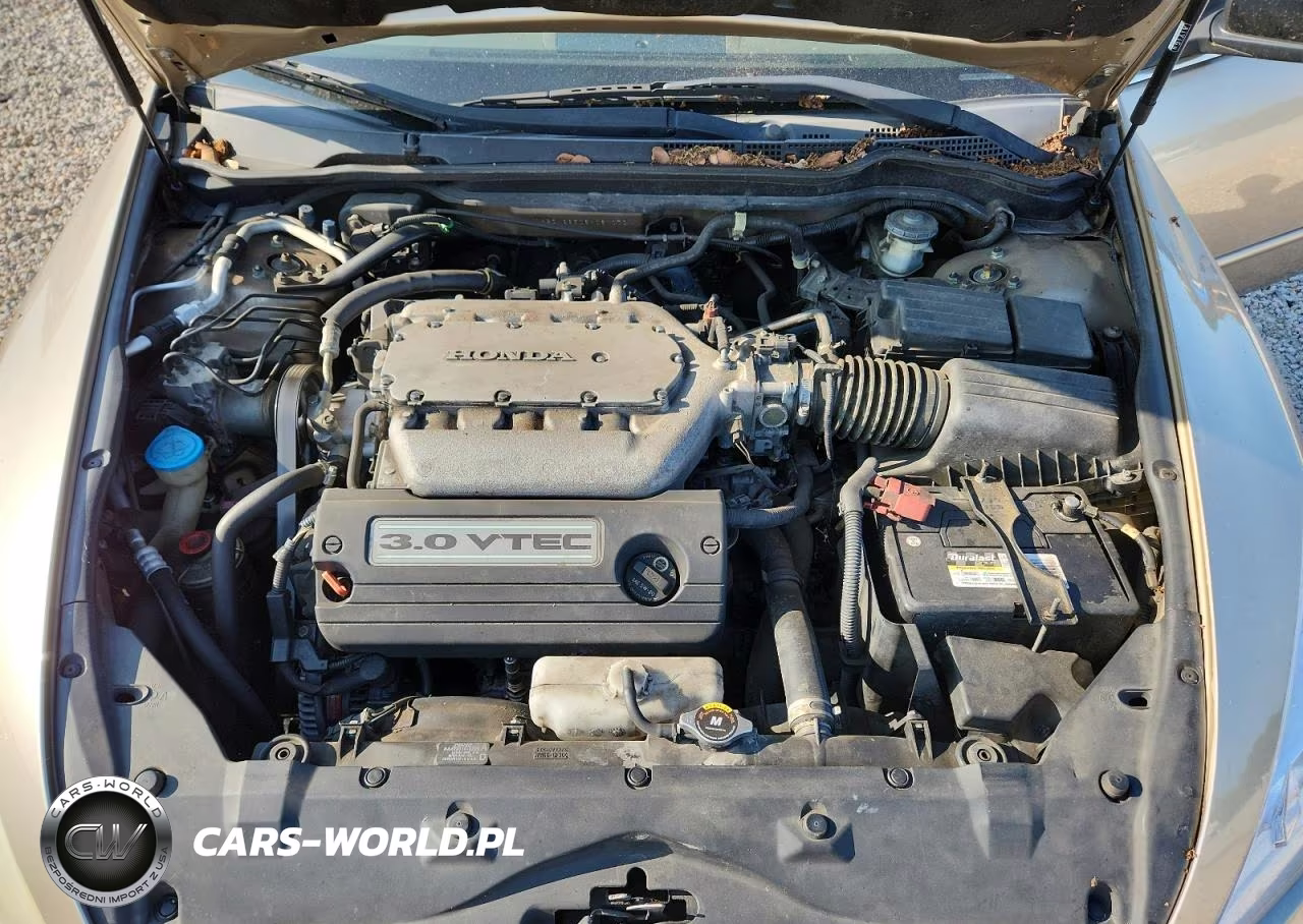 2006 Honda Accord Ex VIN:1HGCM66506A061070 - 11