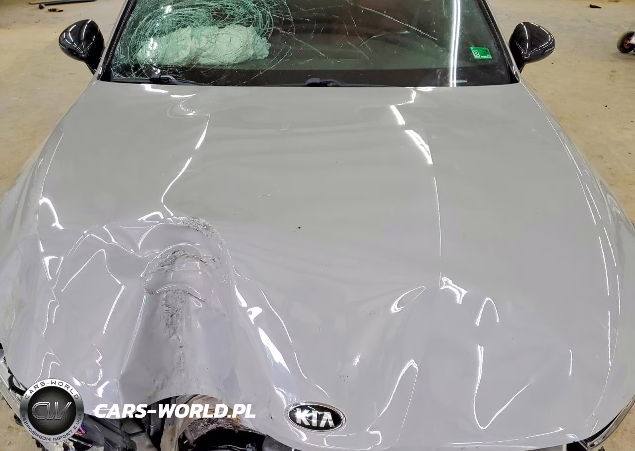 2021 Kia K5 Gt Line VIN:5XXG64J27MG066800 - 11