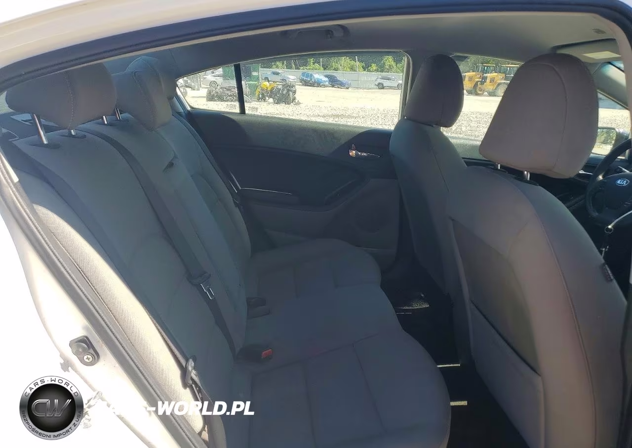 2014 Kia Forte Lx VIN:KNAFX4A66E5206964 - 10