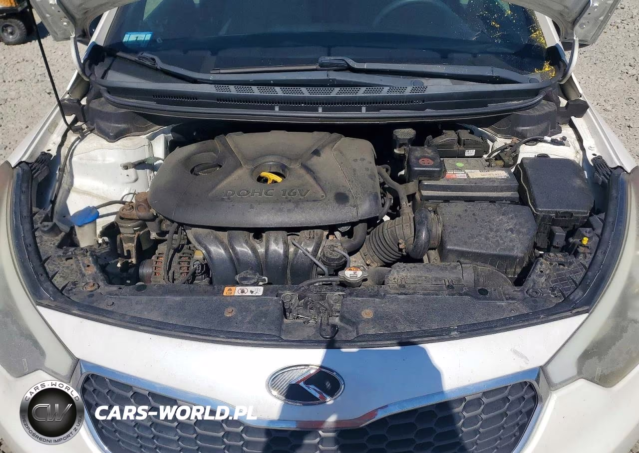 2014 Kia Forte Lx VIN:KNAFX4A66E5206964 - 11