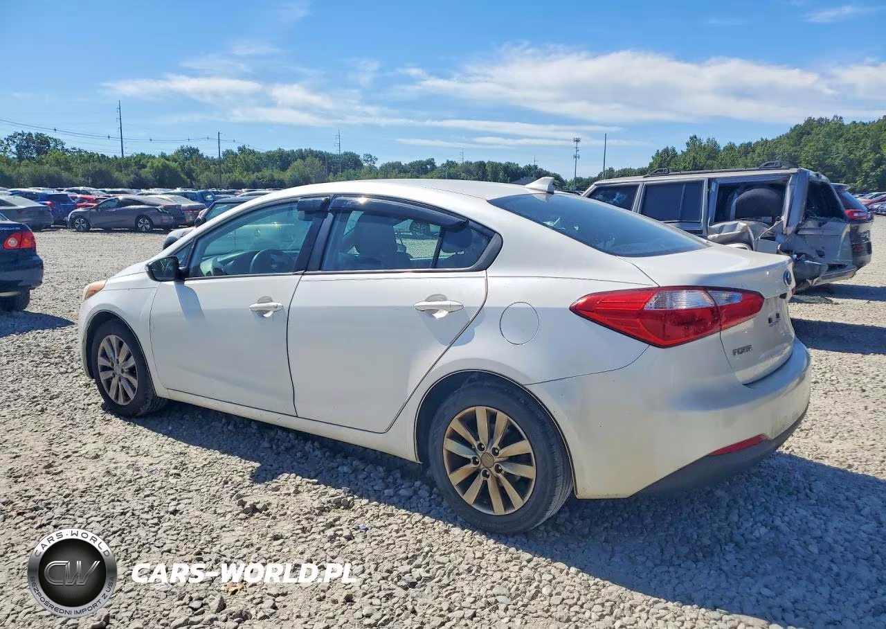 2014 Kia Forte Lx VIN:KNAFX4A66E5206964 - 2