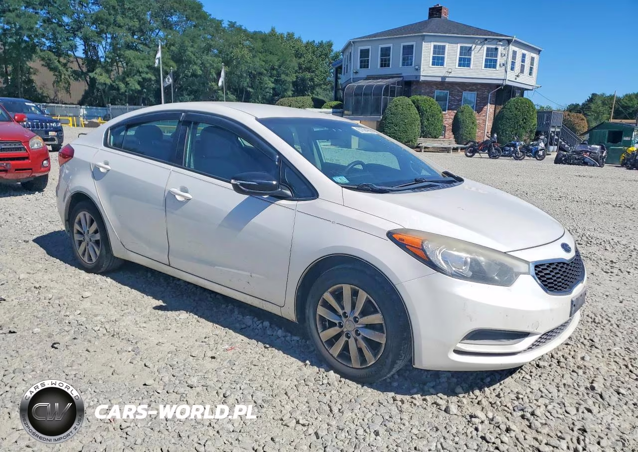 2014 Kia Forte Lx VIN:KNAFX4A66E5206964 - 4