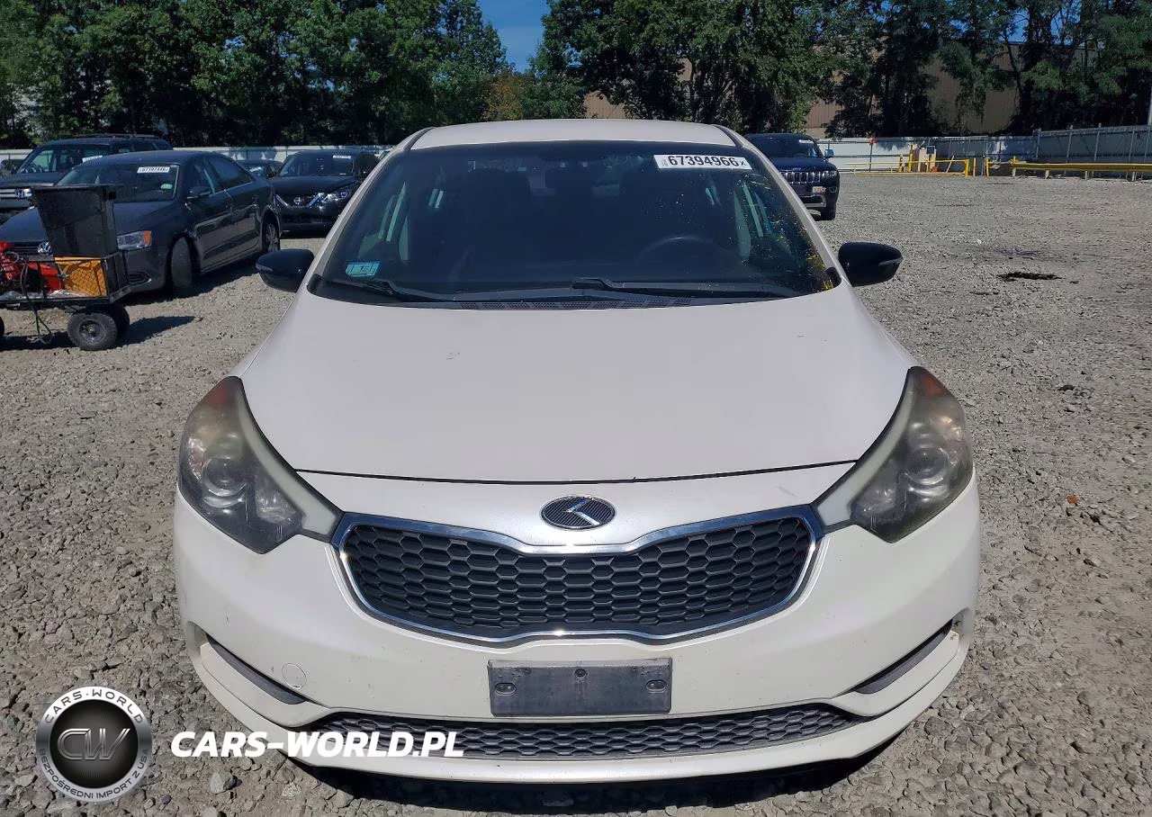 2014 Kia Forte Lx VIN:KNAFX4A66E5206964 - 5