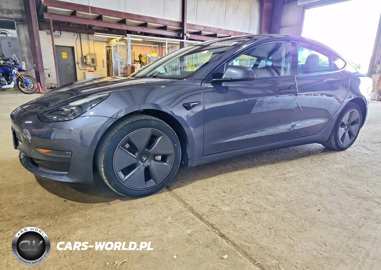 2023 Tesla Model 3 VIN:5YJ3E1EA1PF428502 - 1