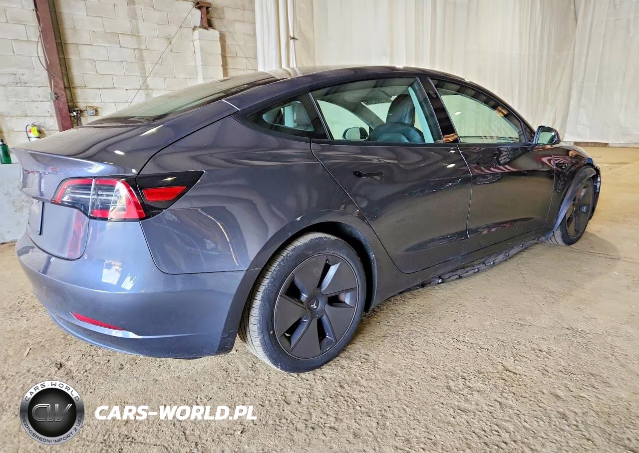 2023 Tesla Model 3 VIN:5YJ3E1EA1PF428502 - 3