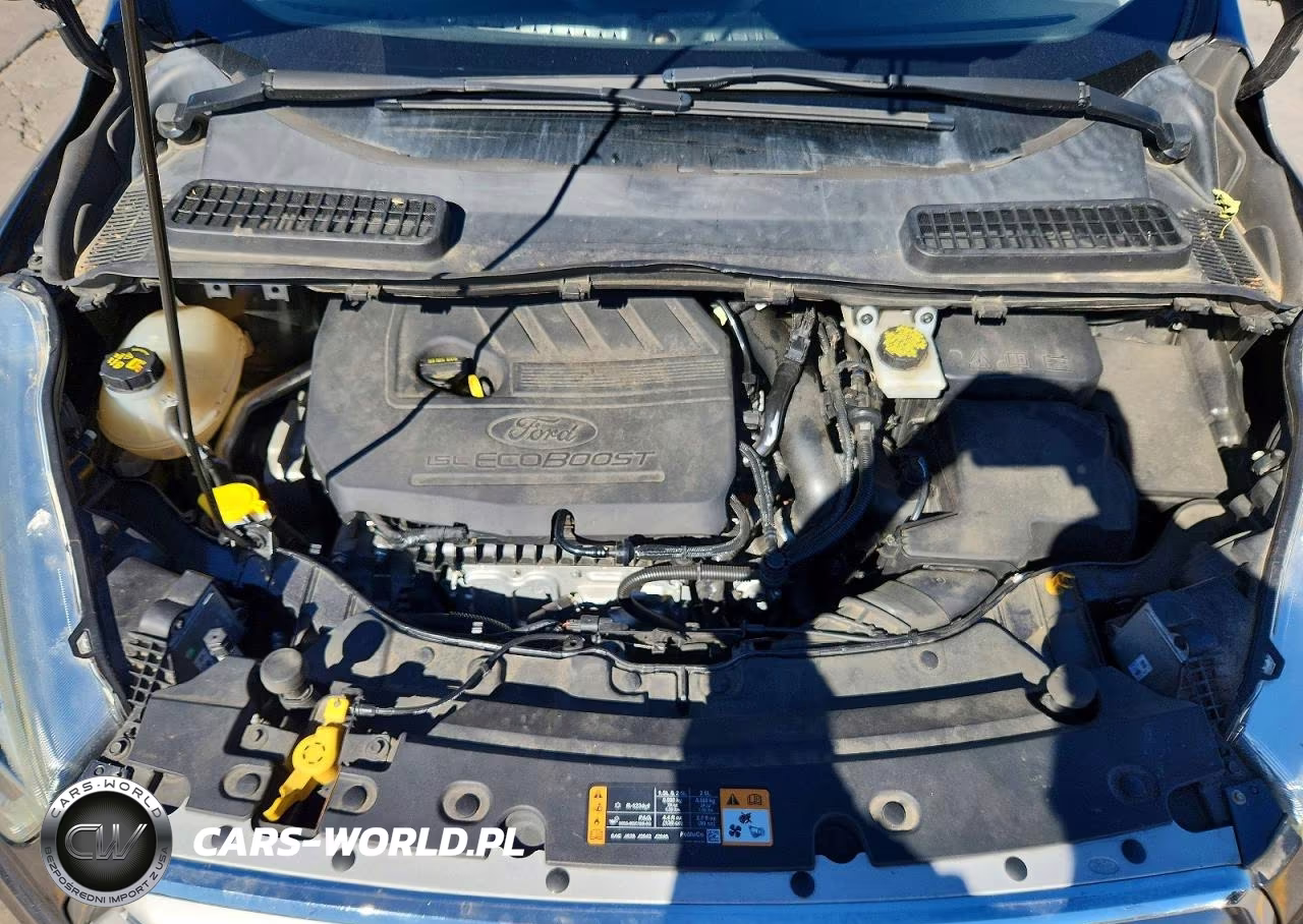 2018 Ford Escape Sel VIN:1FMCU9HD5JUB12859 - 12