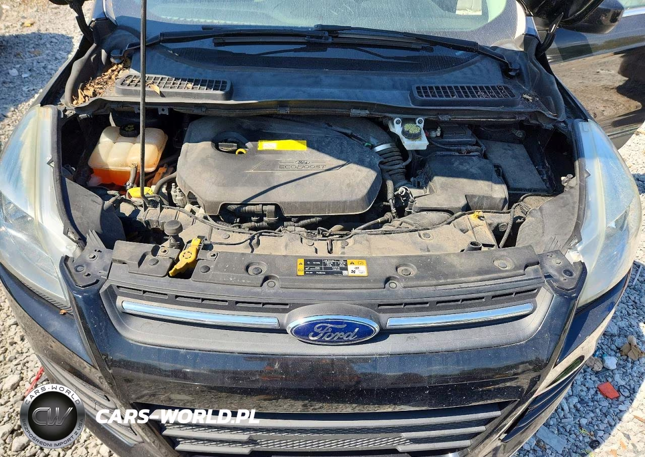 2016 Ford Escape Se VIN:1FMCU0GX6GUB56434 - 12