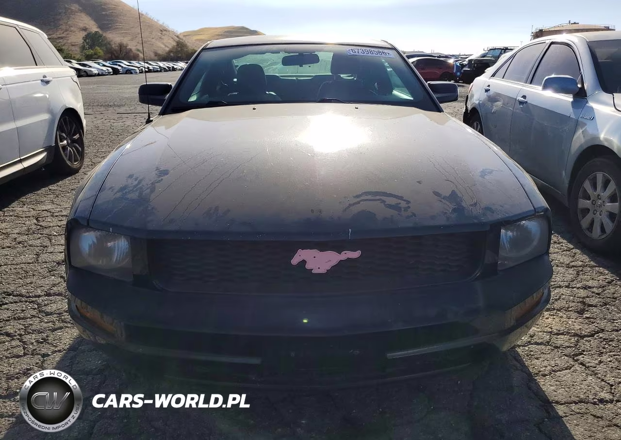 2008 Ford Mustang VIN:1ZVHT80N485148670 - 5