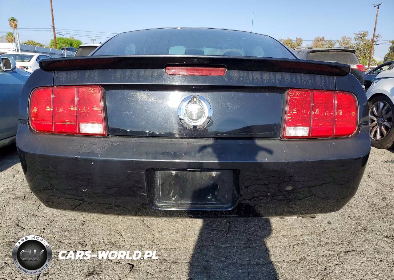 2008 Ford Mustang VIN:1ZVHT80N485148670 - 6