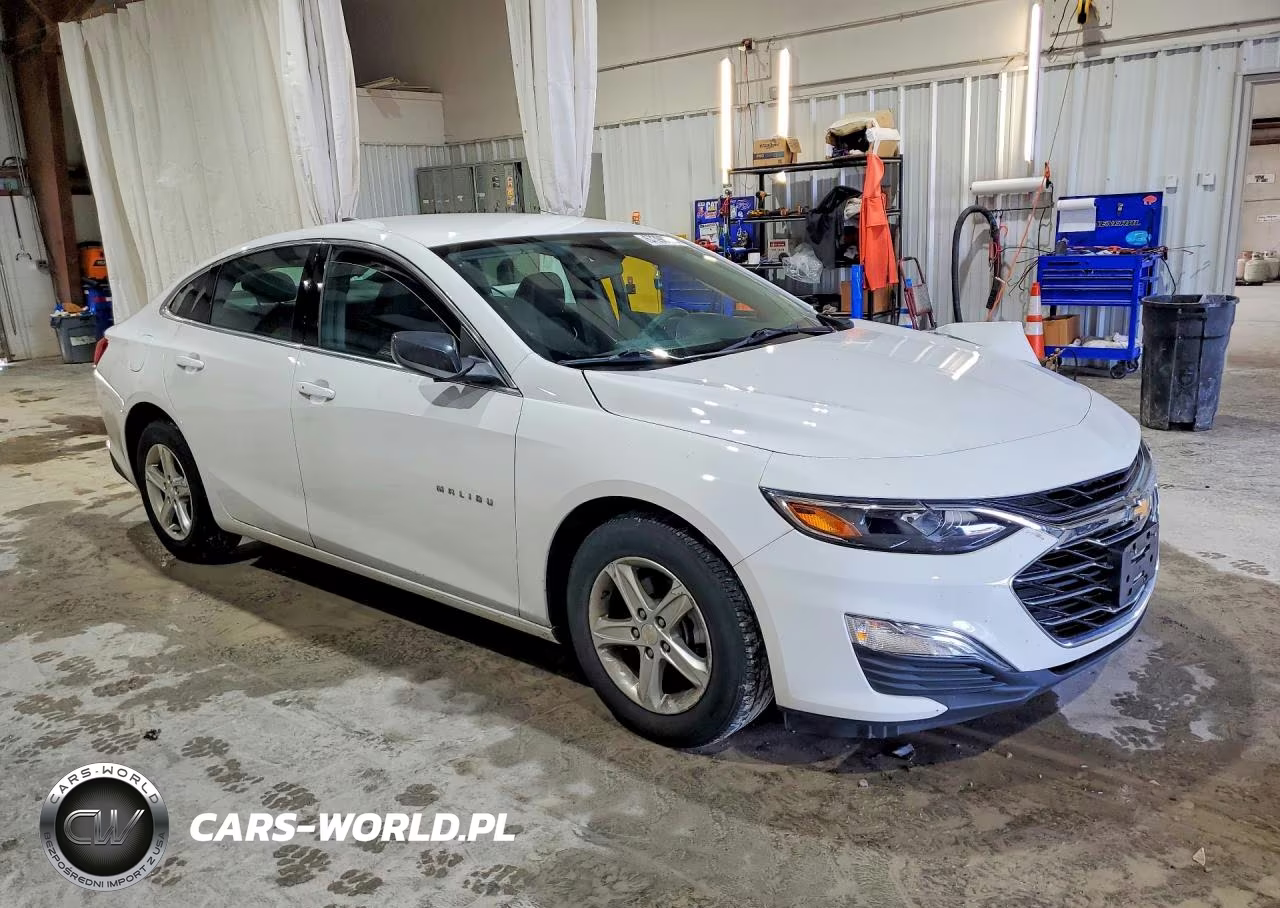 2020 Chevrolet Malibu Ls VIN:1G1ZB5ST0LF119215 - 4