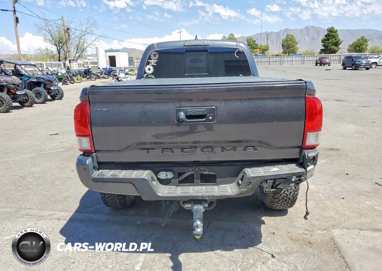 2017 Toyota Tacoma Trd Off-Road VIN:5TFDZ5BN3HX025698 - 6