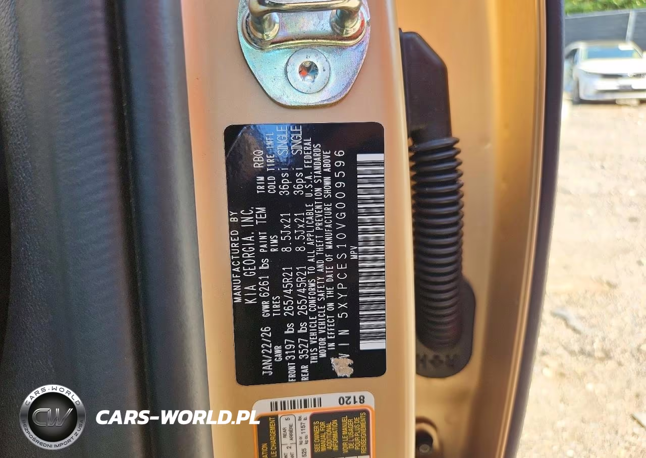 2027 Kia Telluride X-Line Ex VIN:5XYPCES10VG009596 - 13