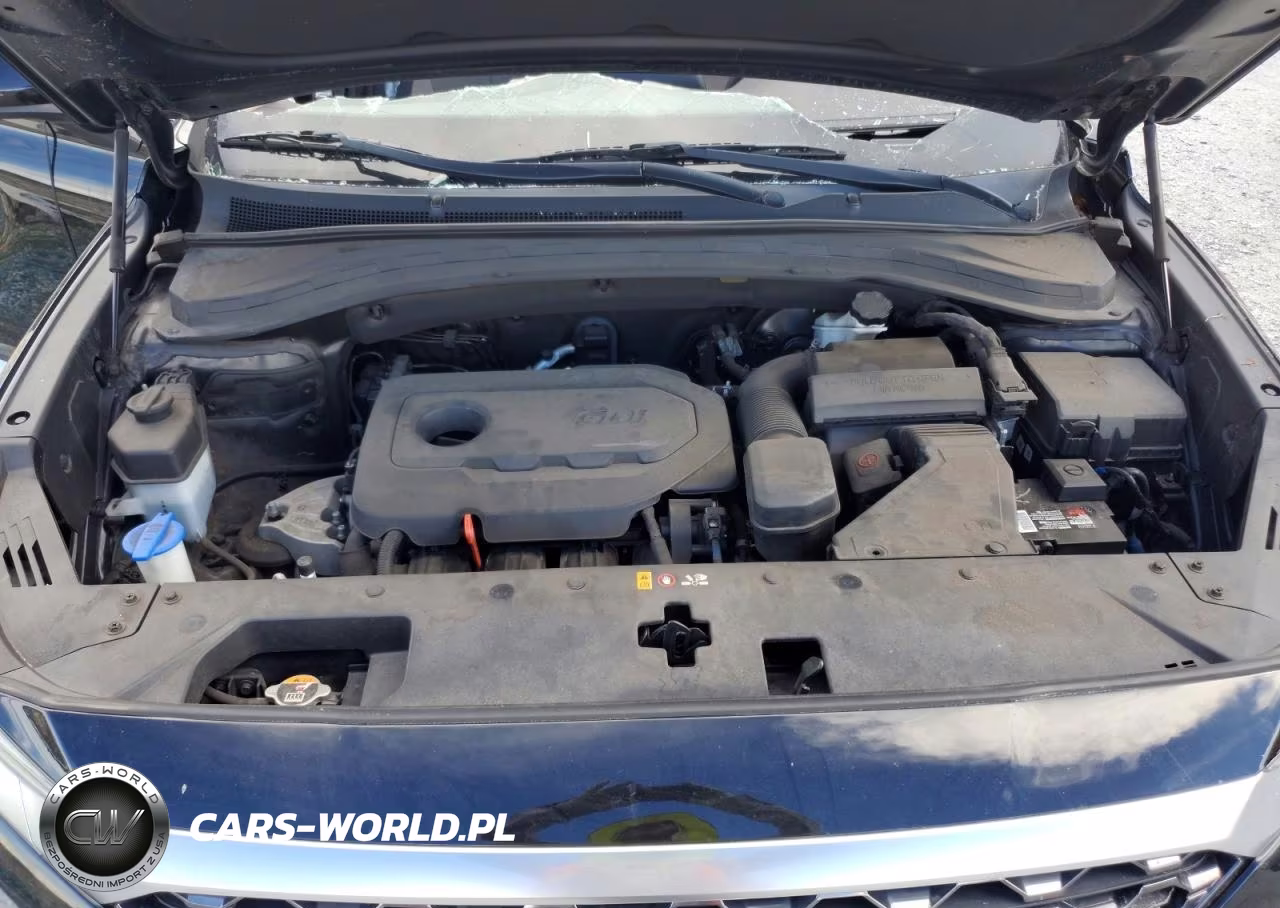 2020 Hyundai Santa Fe Se VIN:5NMS23AD5LH282789 - 12