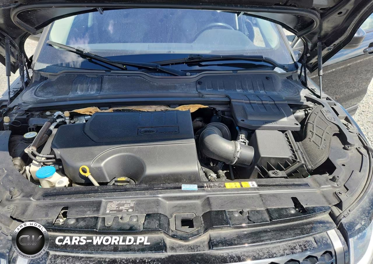 2019 Land Rover Range Rover Evoque Se VIN:SALVP2RX6KH331577 - 12