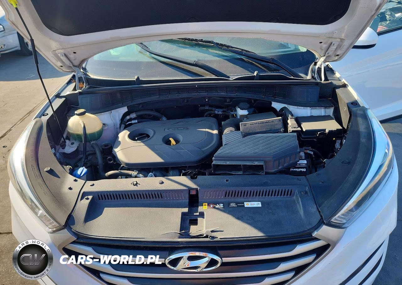 2017 Hyundai Tucson Se VIN:KM8J3CA47HU299436 - 12