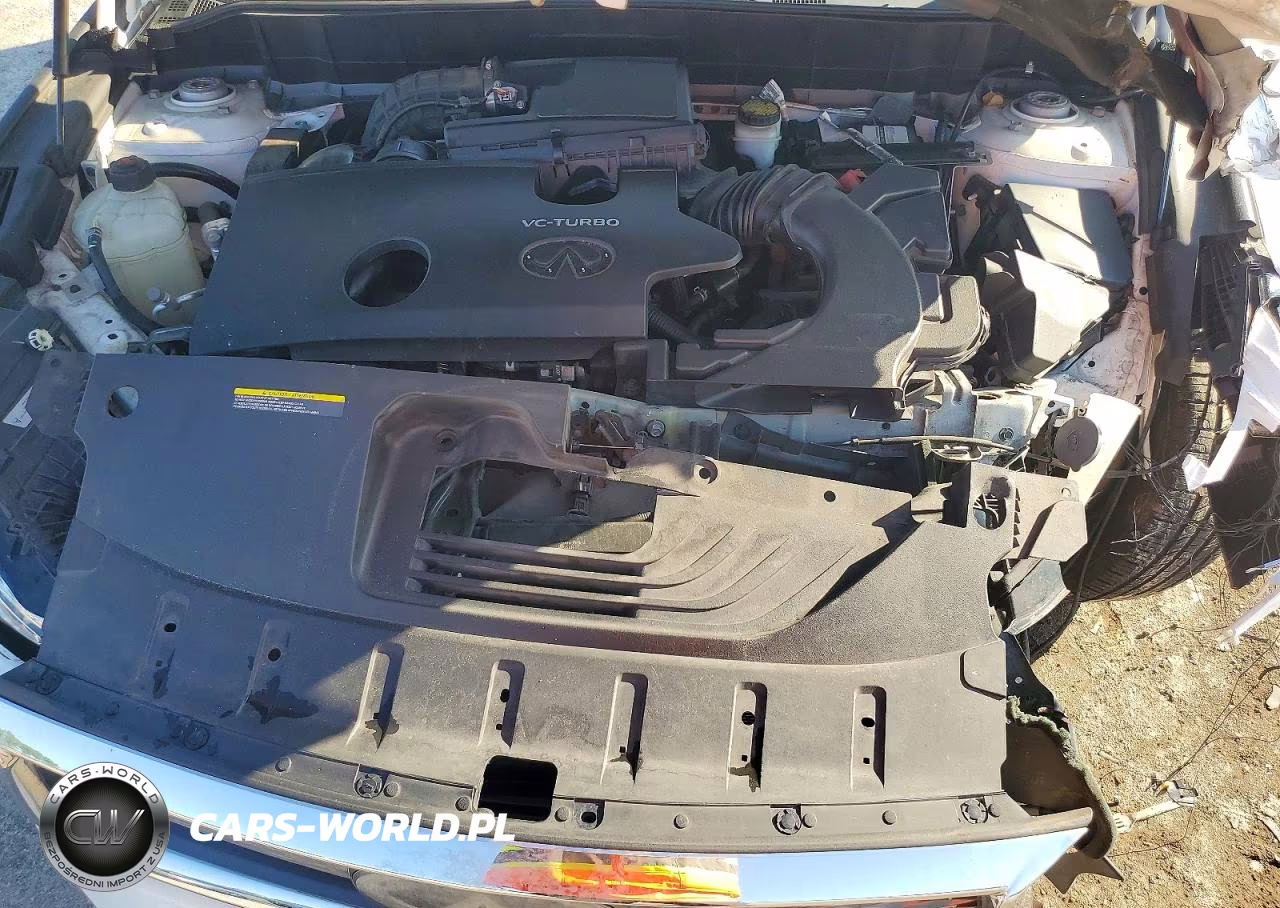 2019 Infiniti Qx50 Luxe VIN:3PCAJ5M11KF136160 - 12