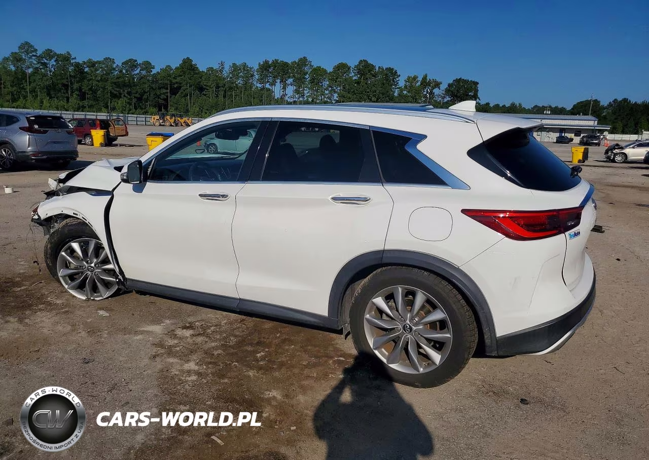 2019 Infiniti Qx50 Luxe VIN:3PCAJ5M11KF136160 - 2