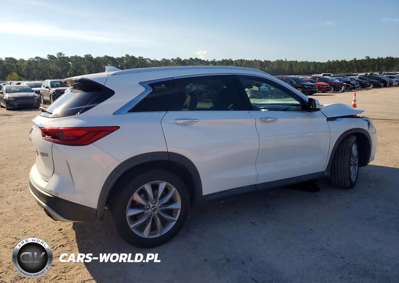 2019 Infiniti Qx50 Luxe VIN:3PCAJ5M11KF136160 - 3