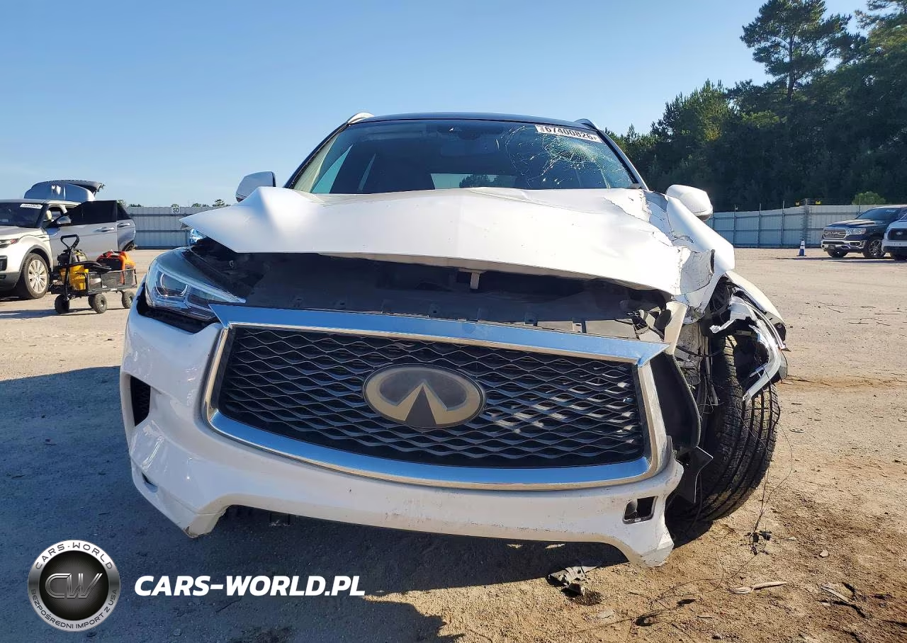 2019 Infiniti Qx50 Luxe VIN:3PCAJ5M11KF136160 - 5