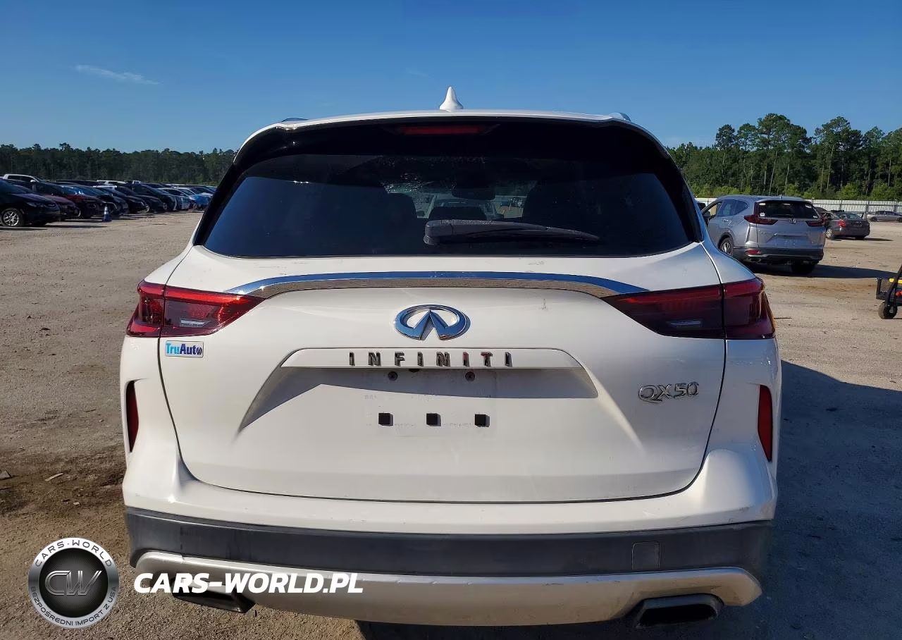 2019 Infiniti Qx50 Luxe VIN:3PCAJ5M11KF136160 - 6