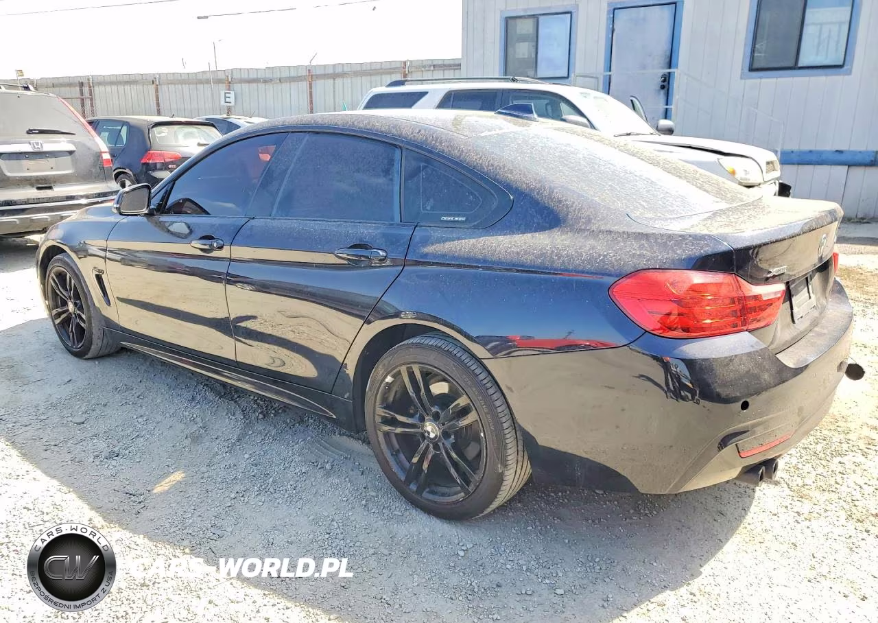 2015 BMW 428 Xi Gran Coupe Sulev VIN:WBA4C9C52FD330144 - 2