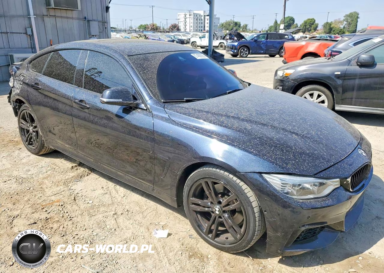 2015 BMW 428 Xi Gran Coupe Sulev VIN:WBA4C9C52FD330144 - 4