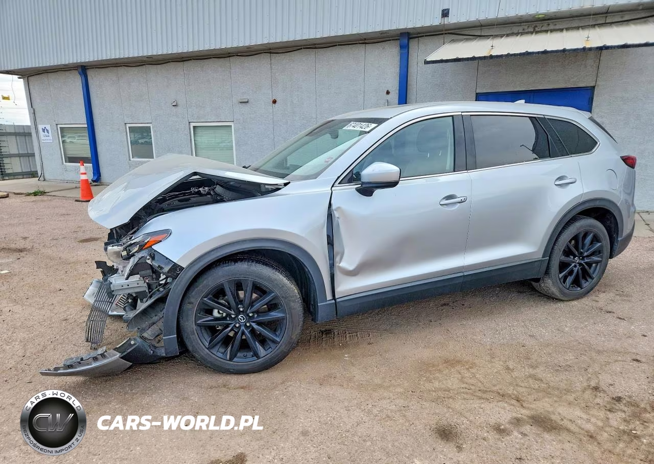 2023 Mazda Cx-9 Touring Plus VIN:JM3TCBAY2P0658909 - 1