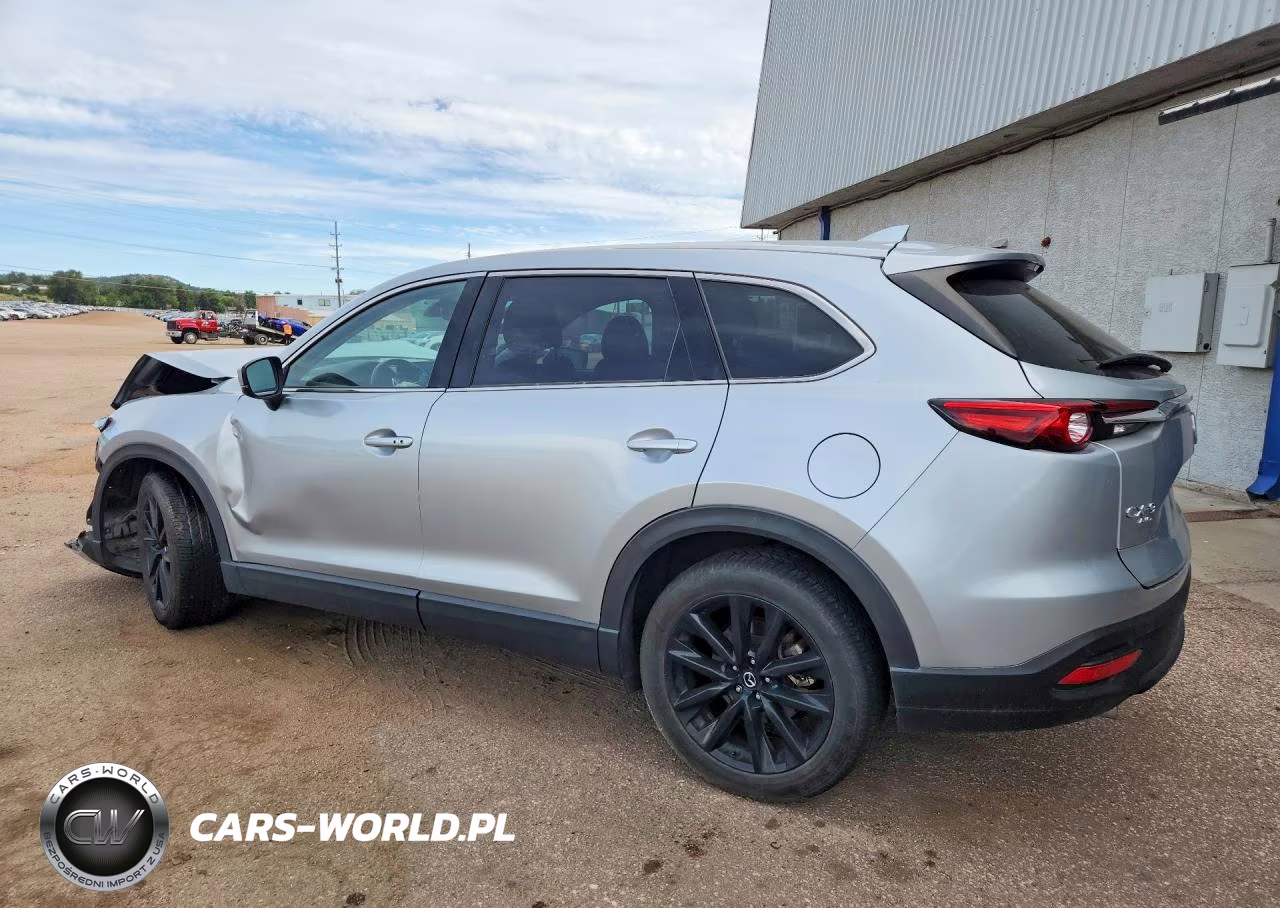 2023 Mazda Cx-9 Touring Plus VIN:JM3TCBAY2P0658909 - 2