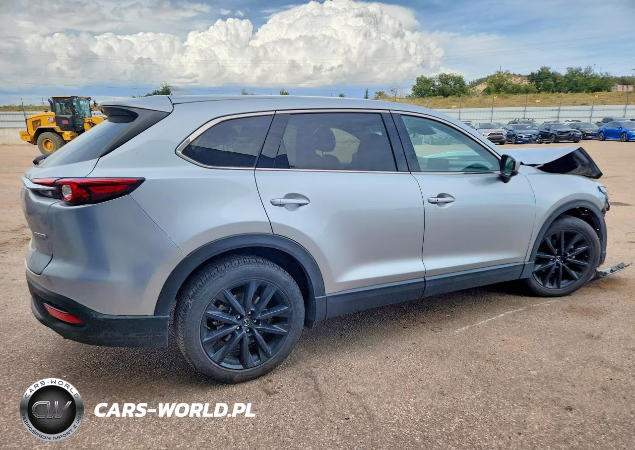2023 Mazda Cx-9 Touring Plus VIN:JM3TCBAY2P0658909 - 3