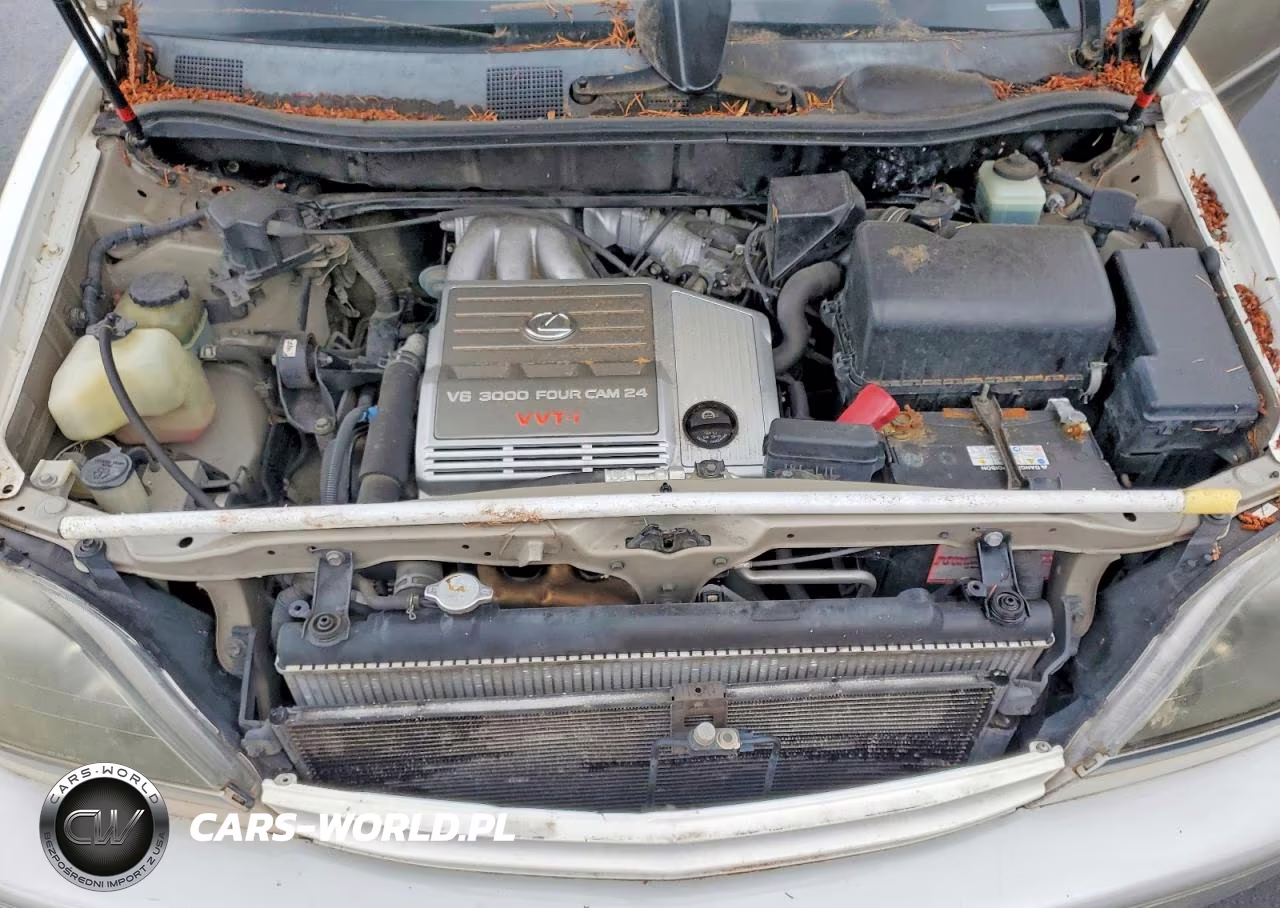 1998 Lexus Rx 300 VIN:JT6HF10U9X0049435 - 11