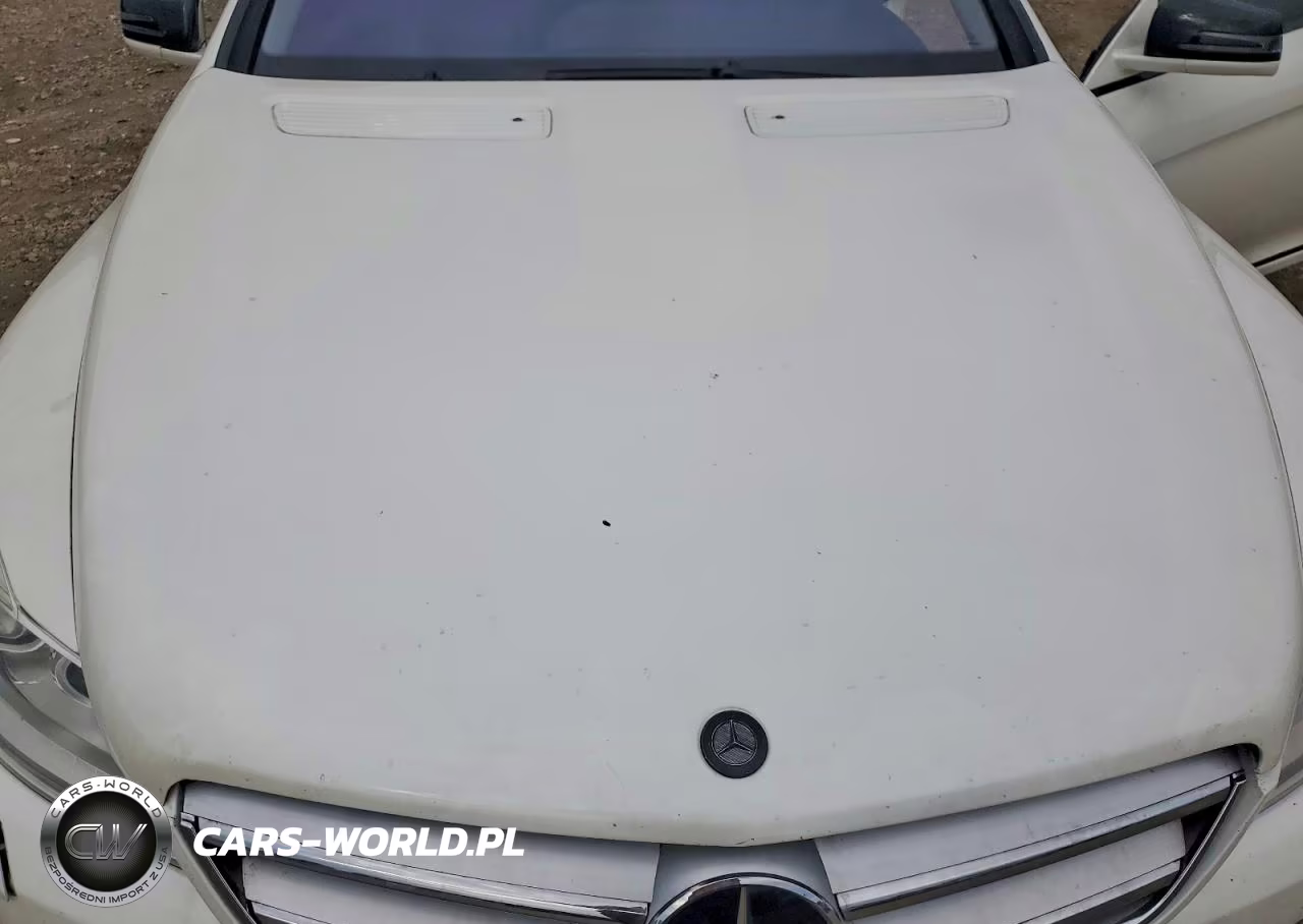 2013 Mercedes-Benz Cl 550 4Matic VIN:WDDEJ9EB7DA031513 - 11