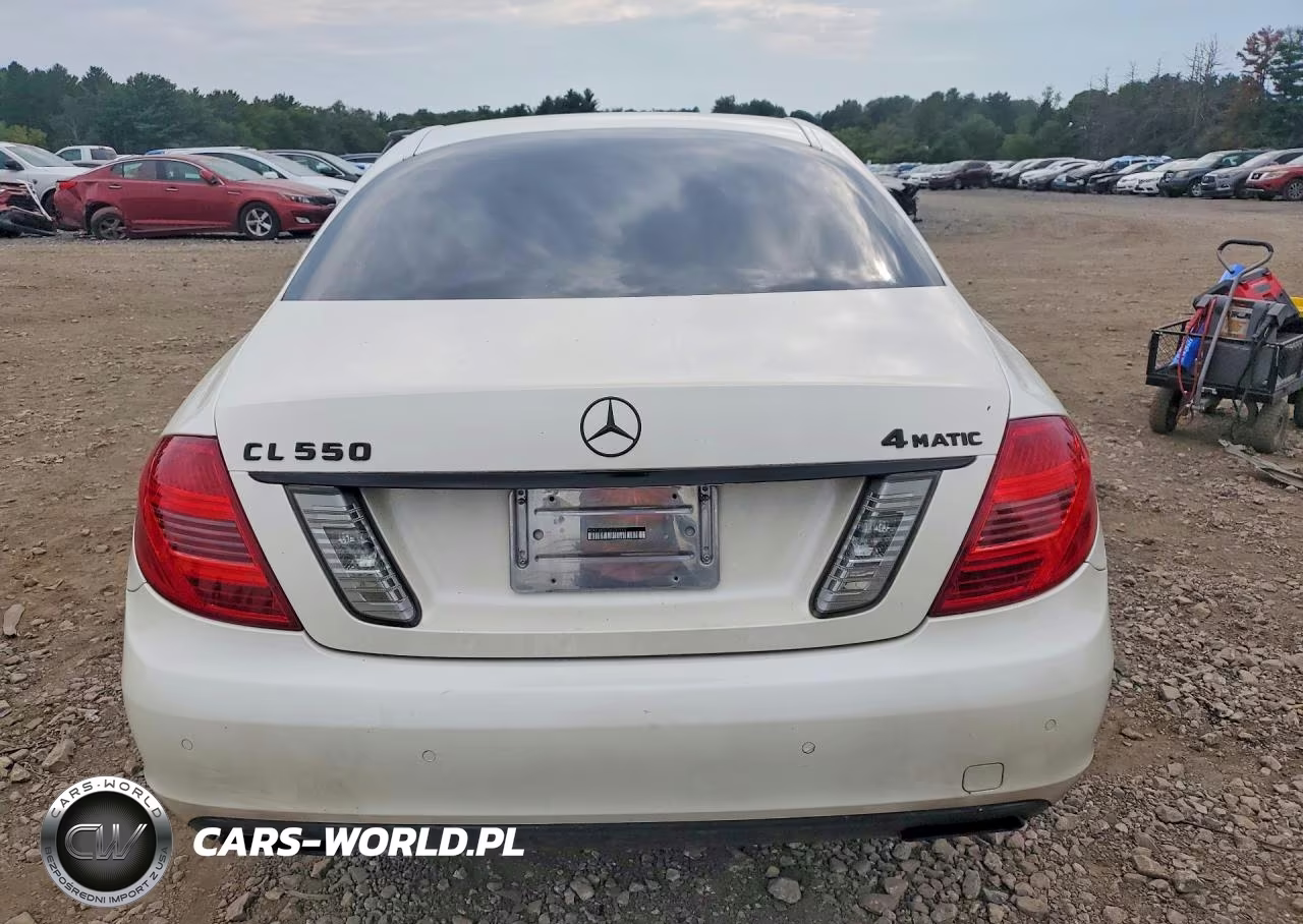 2013 Mercedes-Benz Cl 550 4Matic VIN:WDDEJ9EB7DA031513 - 6