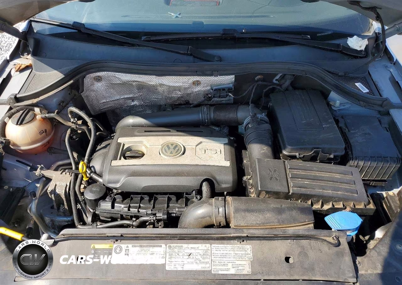2016 Volkswagen Tiguan S VIN:WVGBV7AX6GW579304 - 12