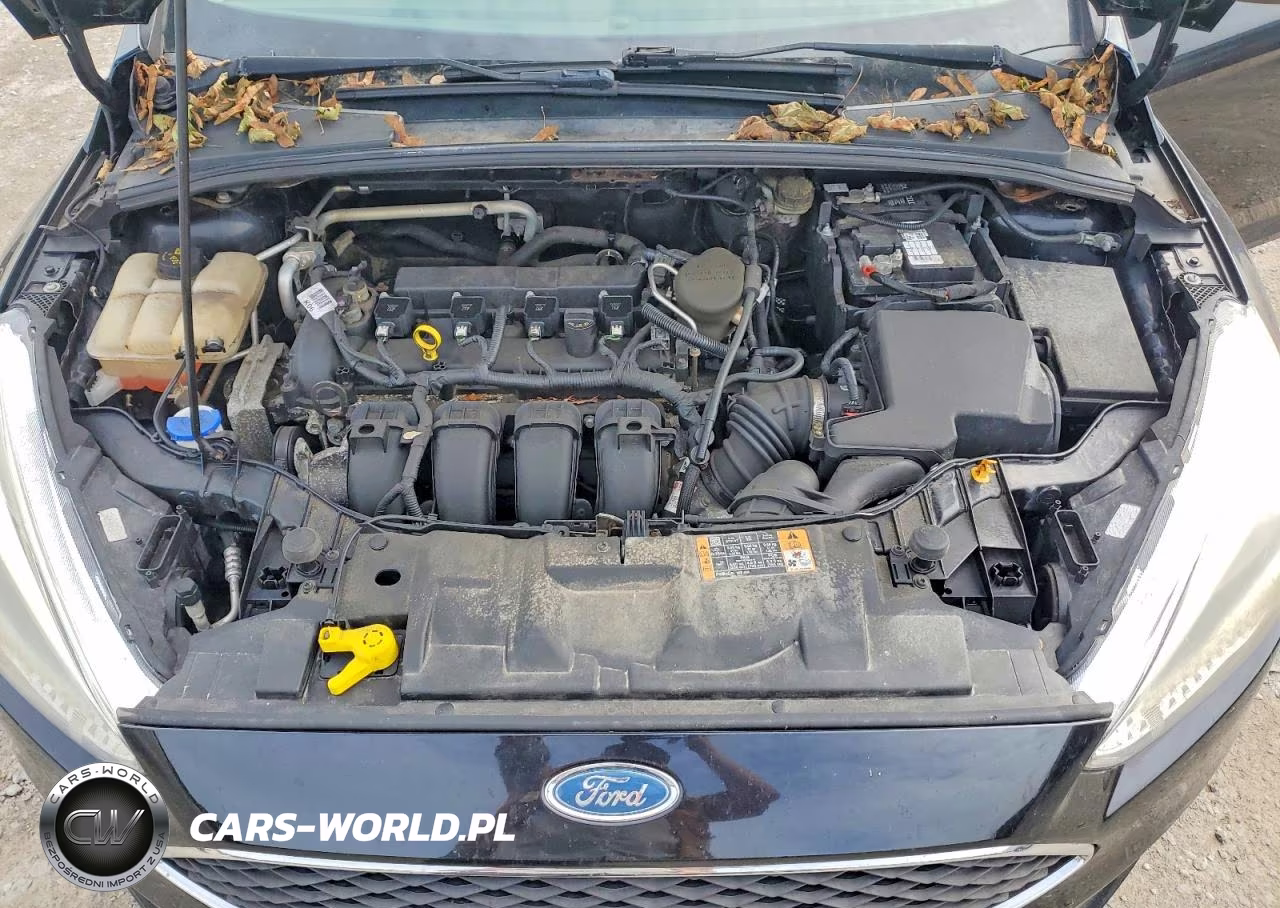 2016 Ford Focus Se VIN:1FADP3F23GL233280 - 11