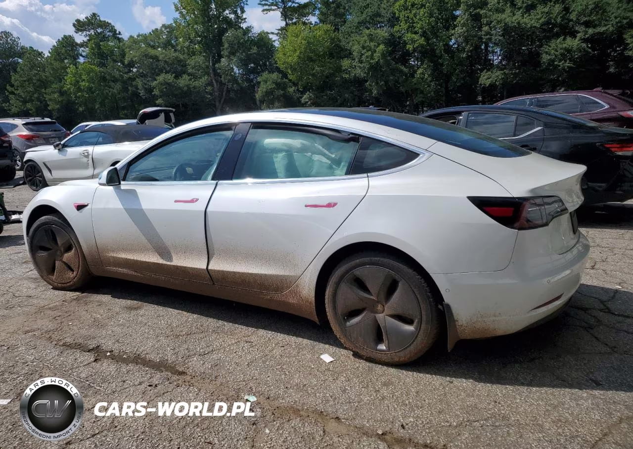 2020 Tesla Model 3 VIN:5YJ3E1EB4LF617891 - 2