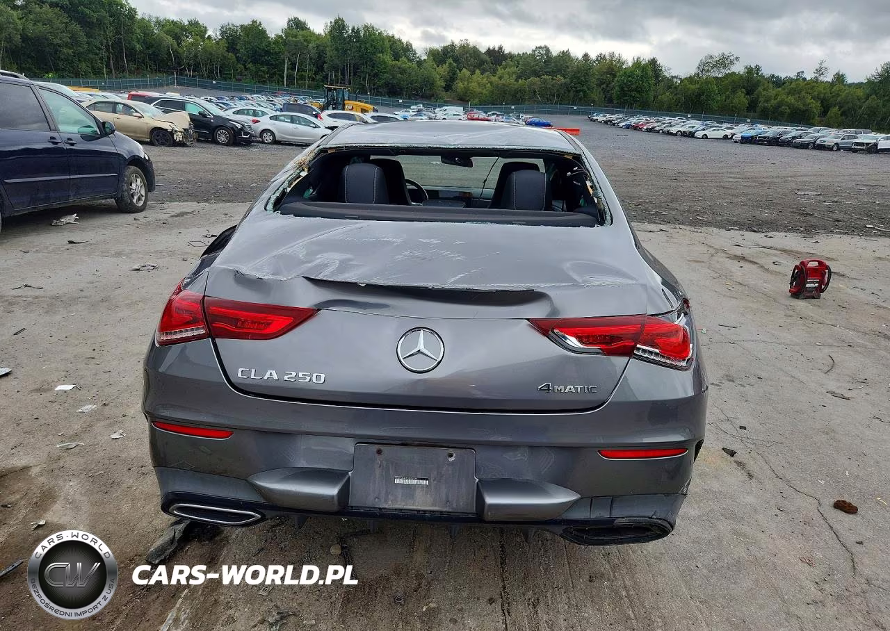 2020 Mercedes-Benz Cla 250 4Matic VIN:WDD5J4HB7LN026477 - 6