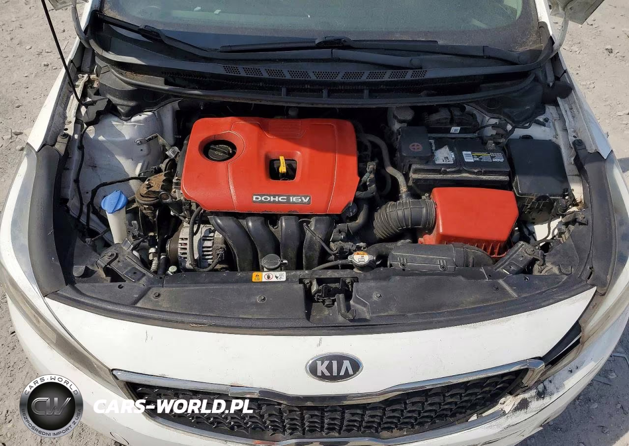 2017 Kia Forte Lx VIN:3KPFK4A75HE030167 - 11