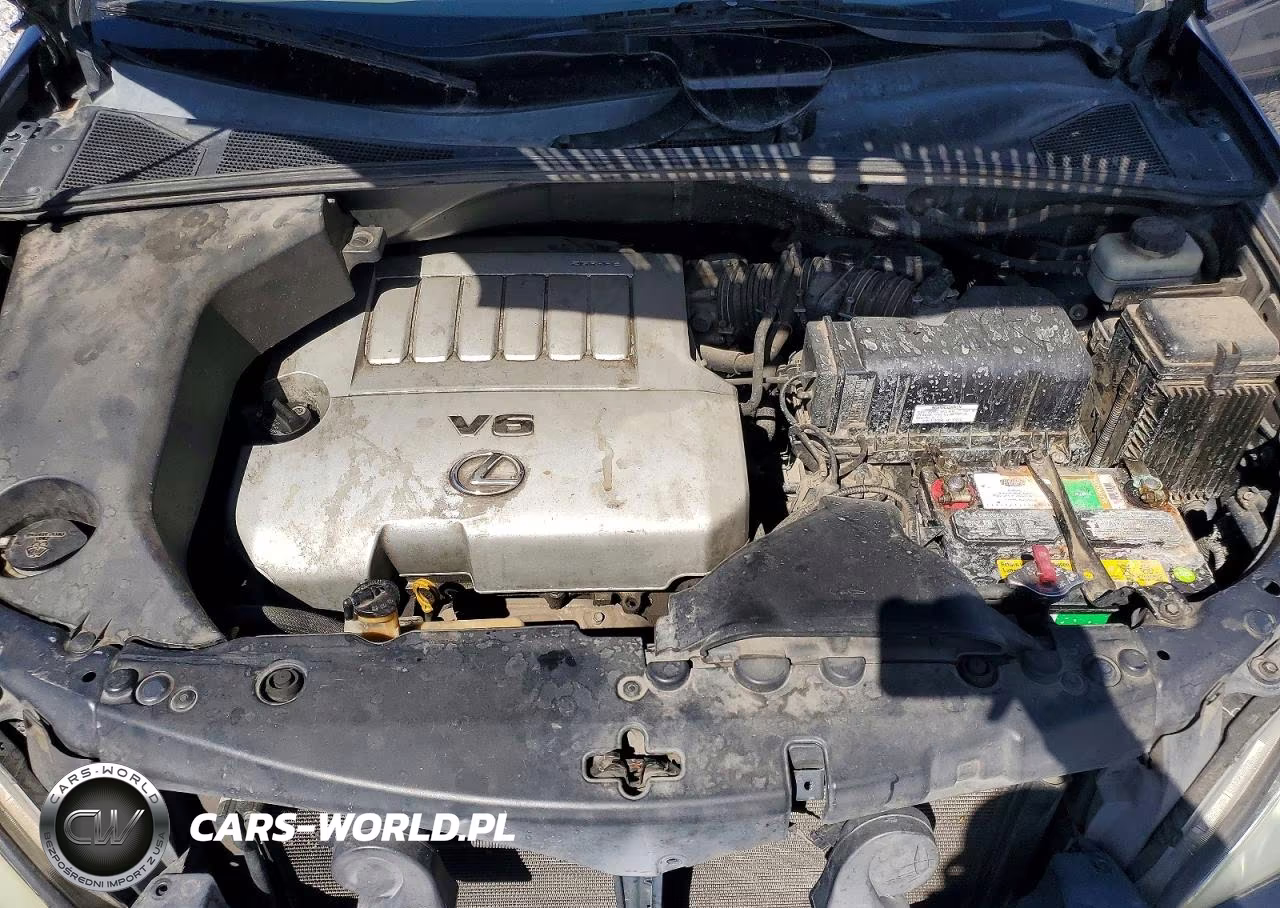 2007 Lexus Rx 350 VIN:2T2HK31U17C032869 - 11