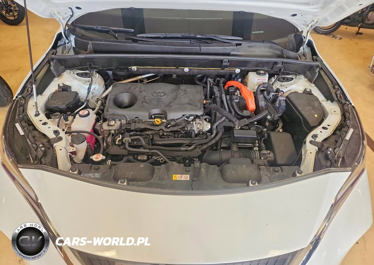 2024 Toyota Venza Xle VIN:JTEAAAAHXRJ170753 - 12