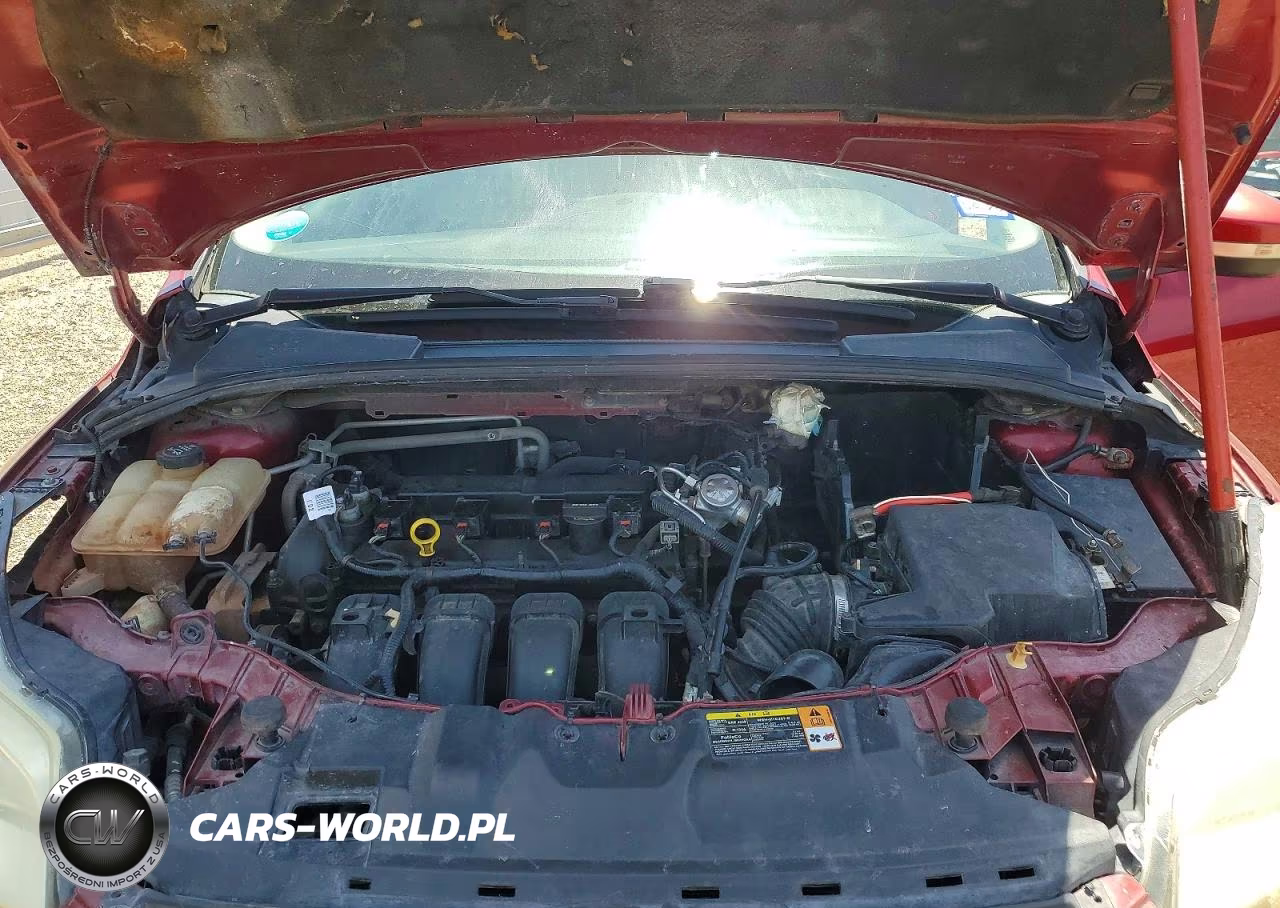 2013 Ford Focus Se VIN:1FADP3F20DL315009 - 11