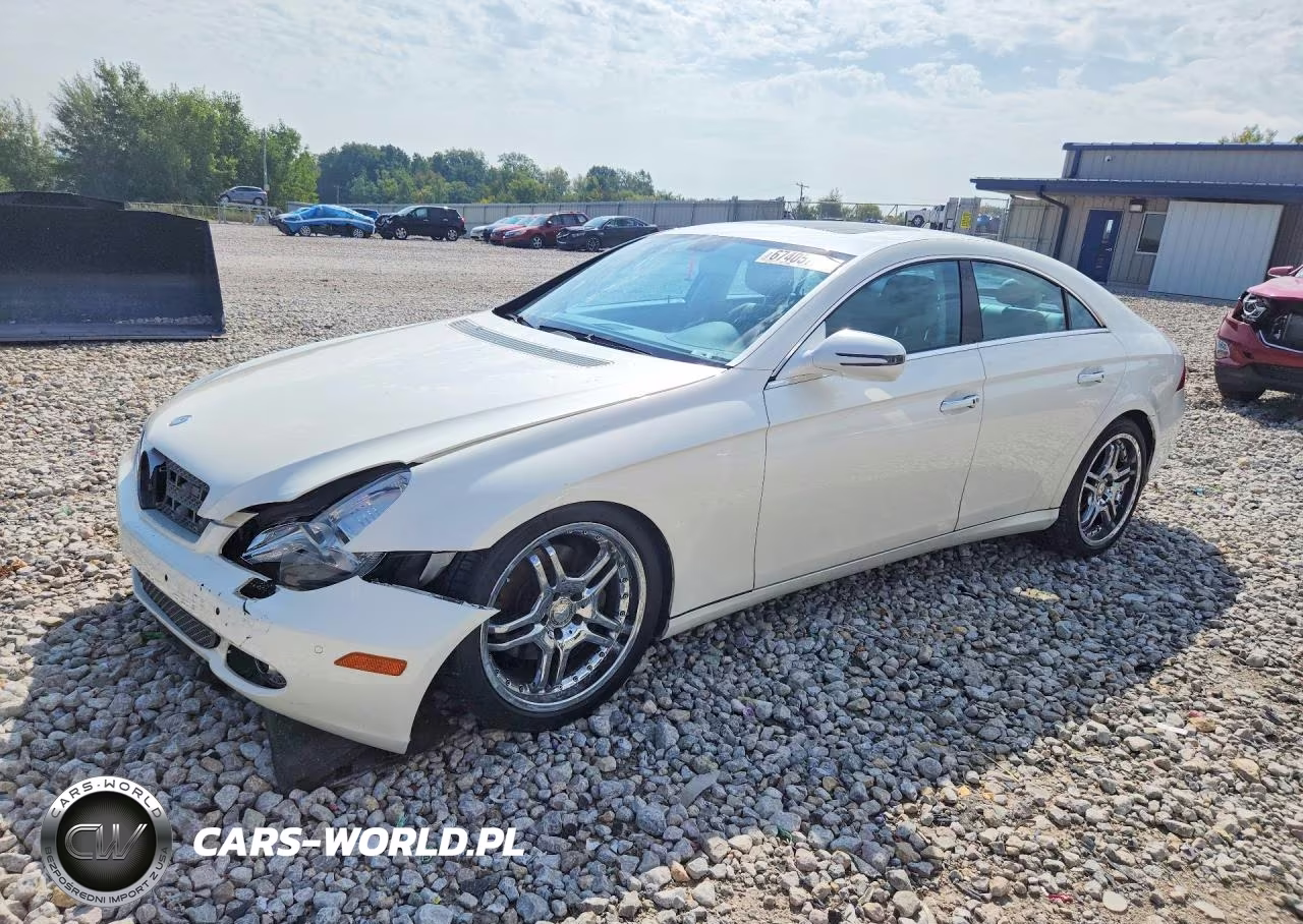 2010 Mercedes-Benz Cls 550