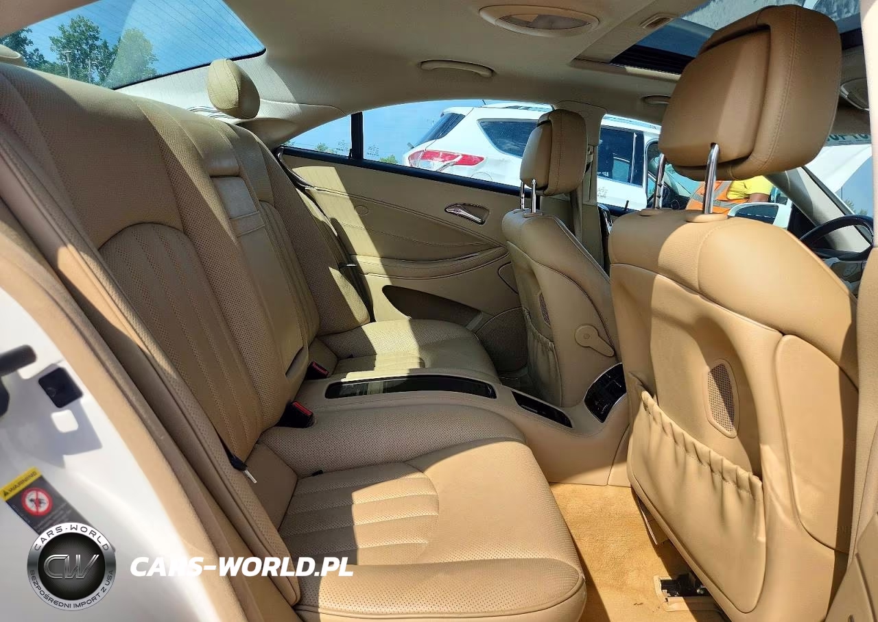 2010 Mercedes-Benz Cls 550 VIN:WDDDJ7CB2AA166218 - 10